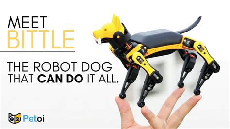 Meet Bittle Robotic Dog .